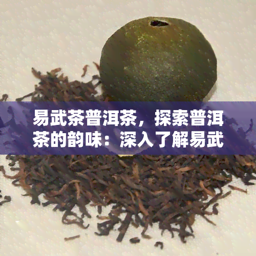 易武茶普洱茶，探索普洱茶的韵味：深入了解易武茶的魅力