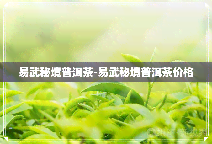 易武秘境普洱茶-易武秘境普洱茶价格