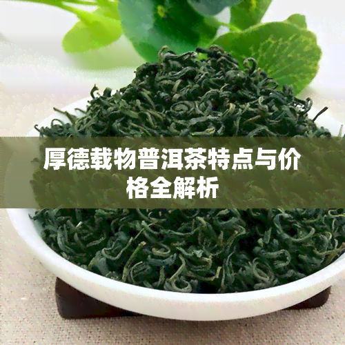 厚德载物普洱茶特点与价格全解析