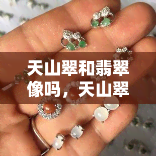 天山翠和翡翠像吗，天山翠与翡翠：相似还是不同？