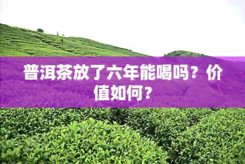 普洱茶放了六年能喝吗？价值如何？