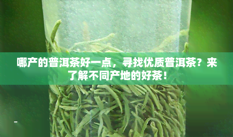 哪产的普洱茶好一点，寻找优质普洱茶？来了解不同产地的好茶！