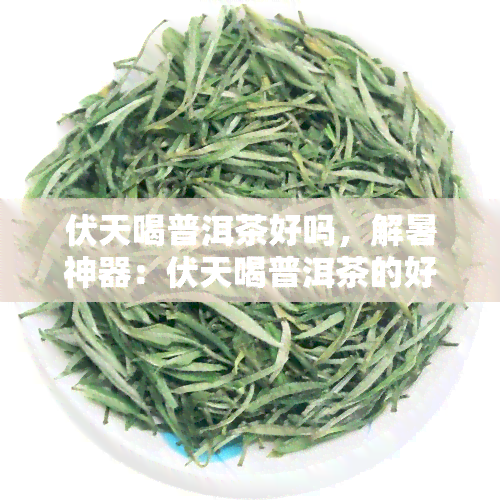 伏天喝普洱茶好吗，解暑神器：伏天喝普洱茶的好处与注意事