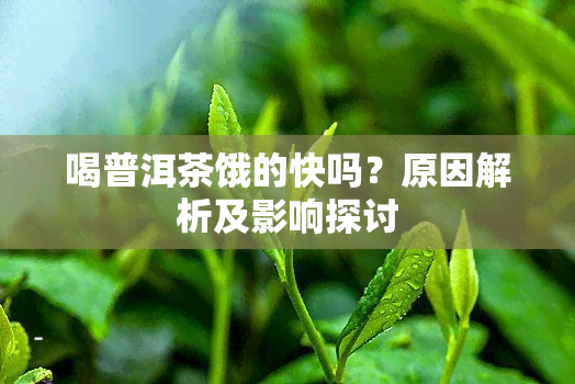 喝普洱茶饿的快吗？原因解析及影响探讨