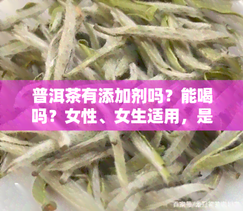 普洱茶有添加剂吗？能喝吗？女性、女生适用，是否含有色素、甜味剂？