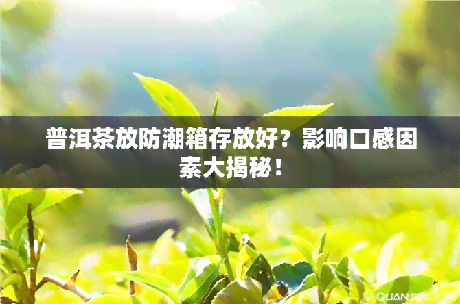 普洱茶放防潮箱存放好？影响口感因素大揭秘！