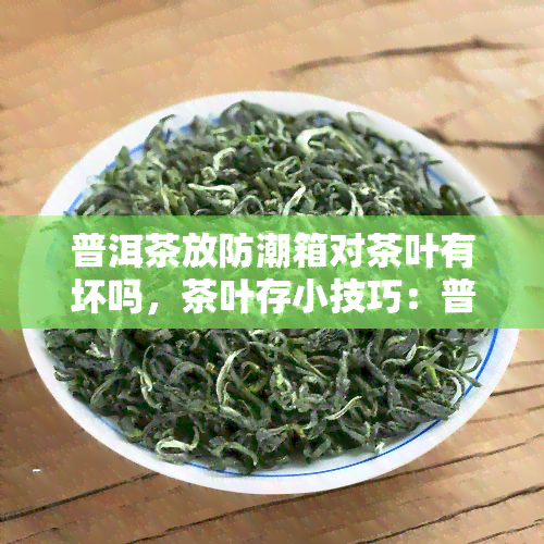 普洱茶放防潮箱对茶叶有坏吗，茶叶存小技巧：普洱茶放防潮箱是否合适？