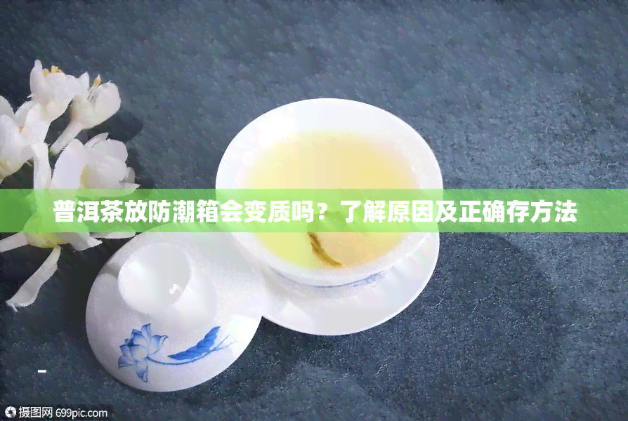 普洱茶放防潮箱会变质吗？了解原因及正确存方法