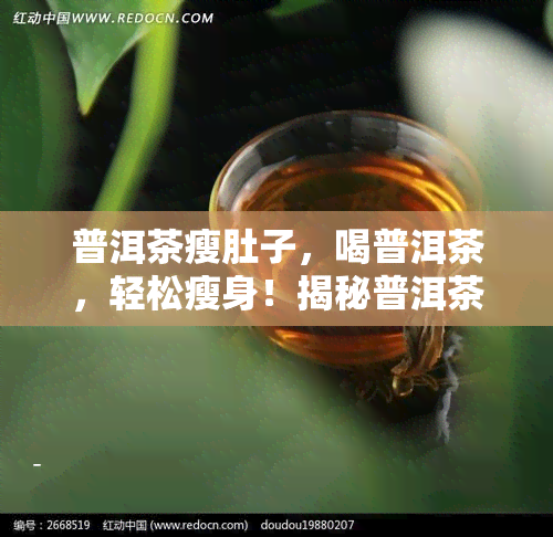 普洱茶瘦肚子，喝普洱茶，轻松瘦身！揭秘普洱茶瘦肚子的科学原理