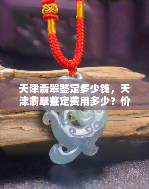 天津翡翠鉴定多少钱，天津翡翠鉴定费用多少？价格解析与参考指南