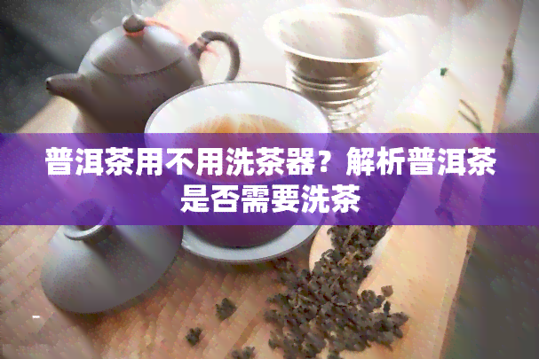 普洱茶用不用洗茶器？解析普洱茶是否需要洗茶