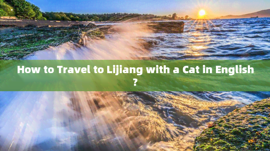 How to Travel to Lijiang with a Cat in English?