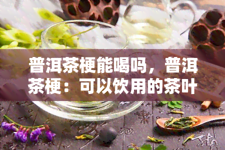 普洱茶梗能喝吗，普洱茶梗：可以饮用的茶叶副产品吗？