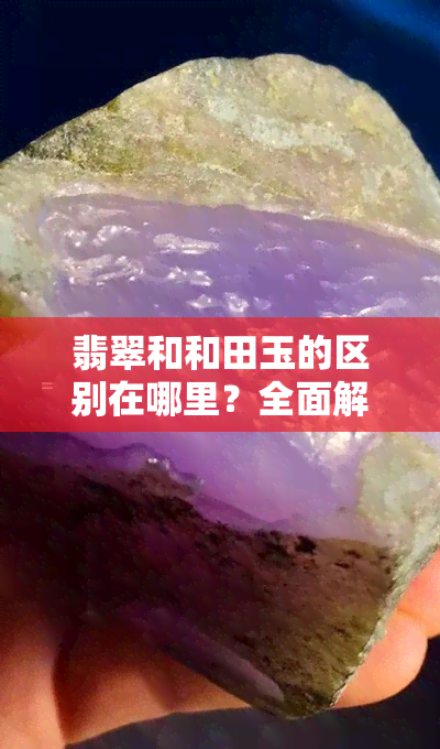 翡翠和和田玉的区别在哪里？全面解析两者的异同与价值比较