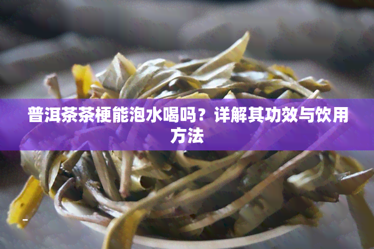 普洱茶茶梗能泡水喝吗？详解其功效与饮用方法