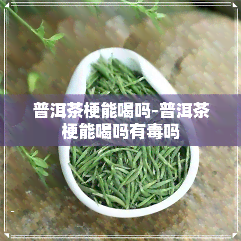 普洱茶梗能喝吗-普洱茶梗能喝吗有吗