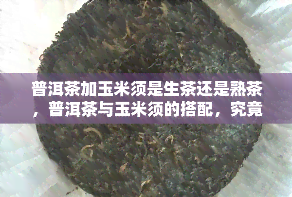 普洱茶加玉米须是生茶还是熟茶，普洱茶与玉米须的搭配，究竟是生茶还是熟茶？