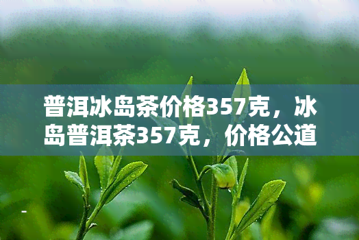 普洱冰岛茶价格357克，冰岛普洱茶357克，价格公道，值得收藏！