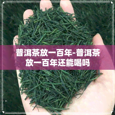 普洱茶放一百年-普洱茶放一百年还能喝吗