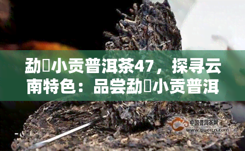 勐曌小贡普洱茶47，探寻云南特色：品尝勐曌小贡普洱茶47的独特风味