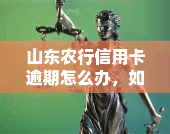 山东农行信用卡逾期怎么办，如何处理山东农行信用卡逾期问题？