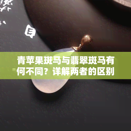 青苹果斑马与翡翠斑马有何不同？详解两者的区别与养护技巧