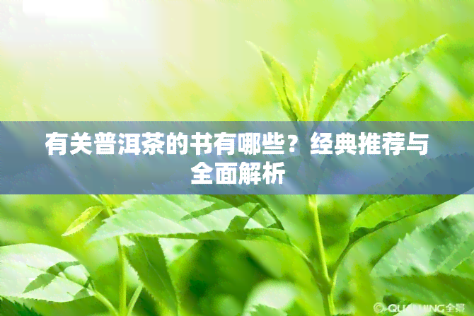 有关普洱茶的书有哪些？经典推荐与全面解析