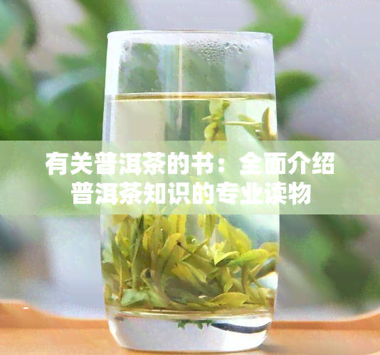 有关普洱茶的书：全面介绍普洱茶知识的专业读物