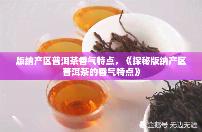 版纳产区普洱茶香气特点，《探秘版纳产区普洱茶的香气特点》