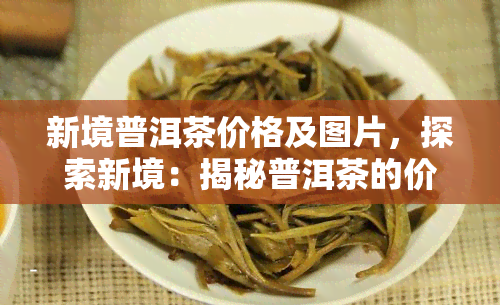 新境普洱茶价格及图片，探索新境：揭秘普洱茶的价格与精美图片