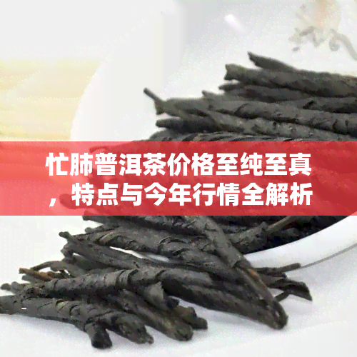 忙肺普洱茶价格至纯至真，特点与今年行情全解析