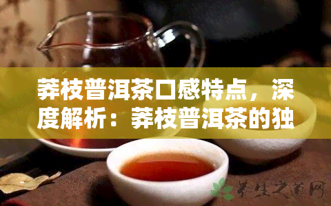 莽枝普洱茶口感特点，深度解析：莽枝普洱茶的独特口感特点