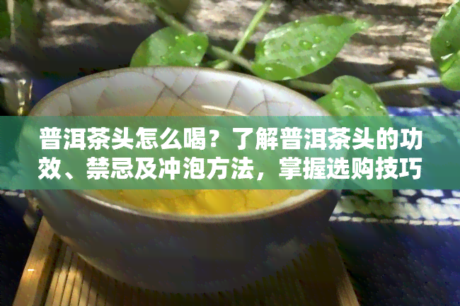 普洱茶头怎么喝？了解普洱茶头的功效、禁忌及冲泡方法，掌握选购技巧，品味独特口感。