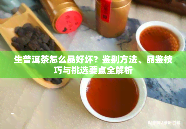 生普洱茶怎么品好坏？鉴别方法、品鉴技巧与挑选要点全解析