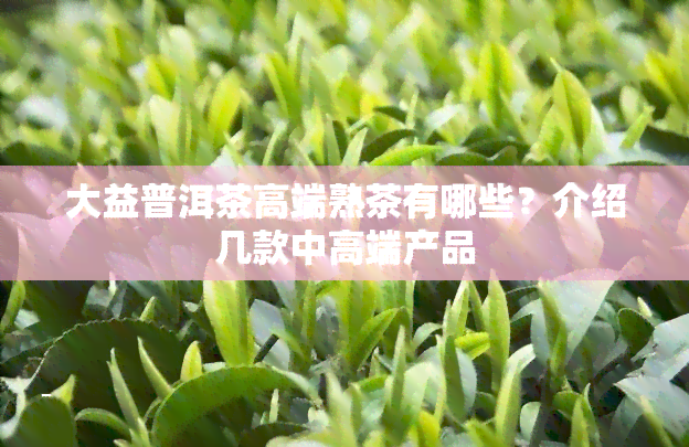 大益普洱茶高端熟茶有哪些？介绍几款中高端产品