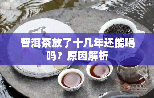 普洱茶放了十几年还能喝吗？原因解析