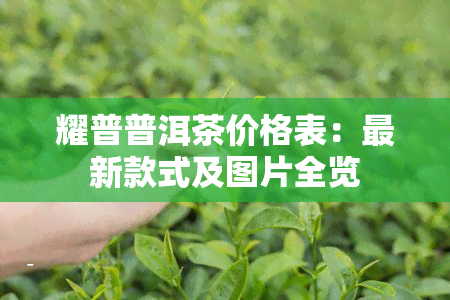 耀普普洱茶价格表：最新款式及图片全览