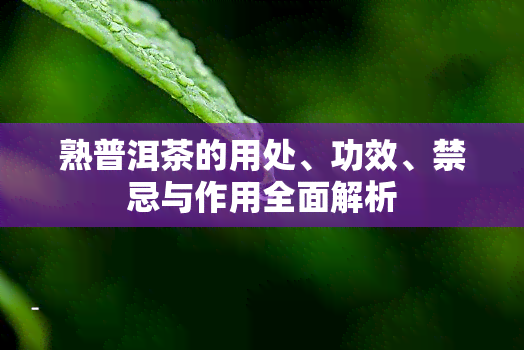 熟普洱茶的用处、功效、禁忌与作用全面解析