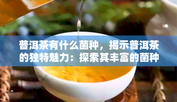 普洱茶有什么菌种，揭示普洱茶的独特魅力：探索其丰富的菌种世界