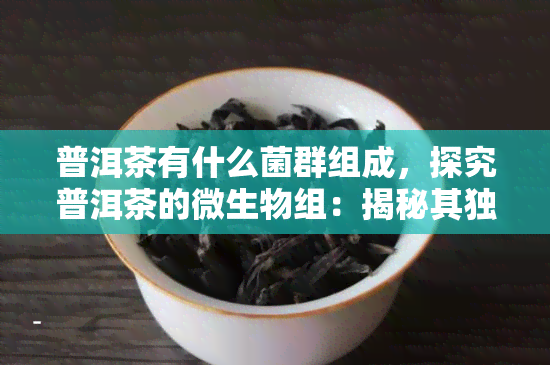 普洱茶有什么菌群组成，探究普洱茶的微生物组：揭秘其独特的菌群构成