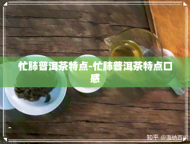 忙肺普洱茶特点-忙肺普洱茶特点口感