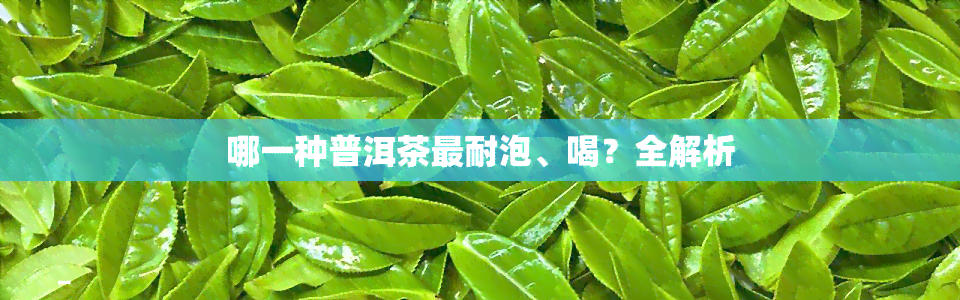 哪一种普洱茶最耐泡、喝？全解析