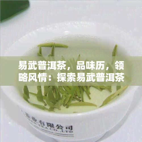 易武普洱茶，品味历，领略风情：探索易武普洱茶的魅力