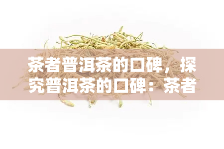 茶者普洱茶的口碑，探究普洱茶的口碑：茶者的评价与体验