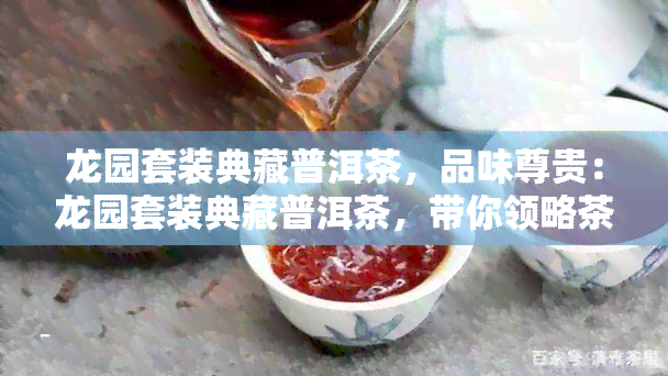 龙园套装典藏普洱茶，品味尊贵：龙园套装典藏普洱茶，带你领略茶叶的精髓