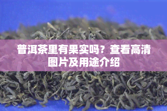 普洱茶里有果实吗？查看高清图片及用途介绍