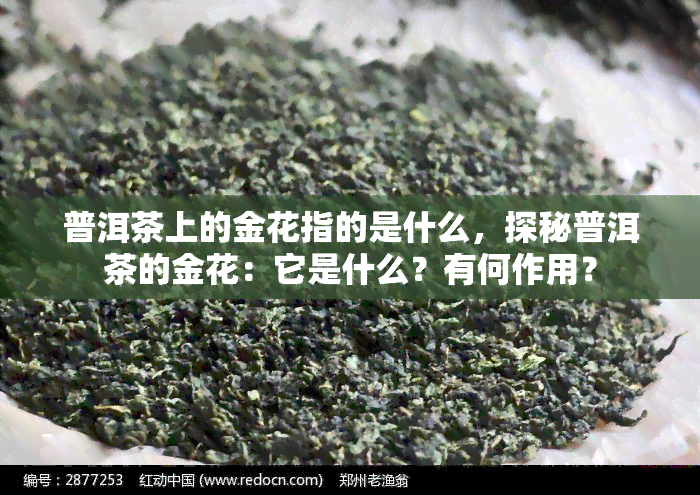 普洱茶上的金花指的是什么，探秘普洱茶的金花：它是什么？有何作用？