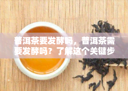 普洱茶要发酵吗，普洱茶需要发酵吗？了解这个关键步骤