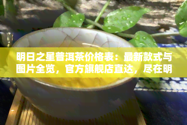 明日之星普洱茶价格表：最新款式与图片全览，官方旗舰店直达，尽在明日之星集团