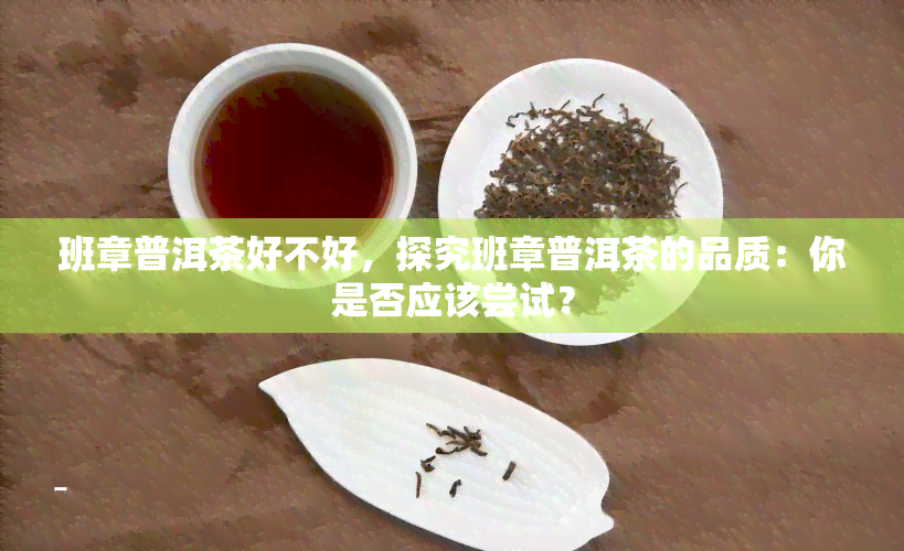 班章普洱茶好不好，探究班章普洱茶的品质：你是否应该尝试？